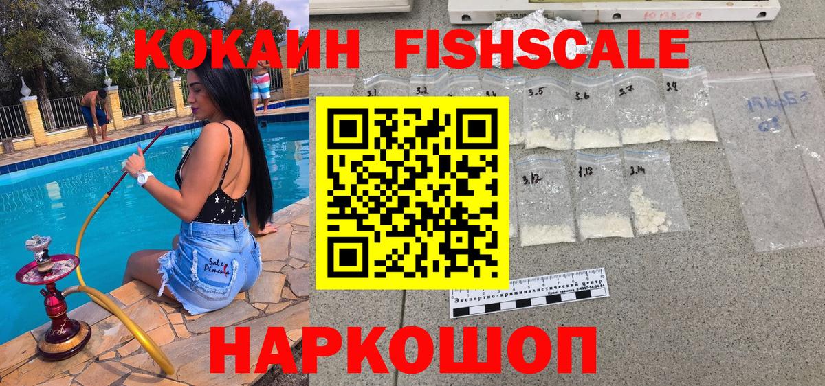 где купить наркоту  COCAIN Fish Scale  Вход с VPN  Новосибирск 