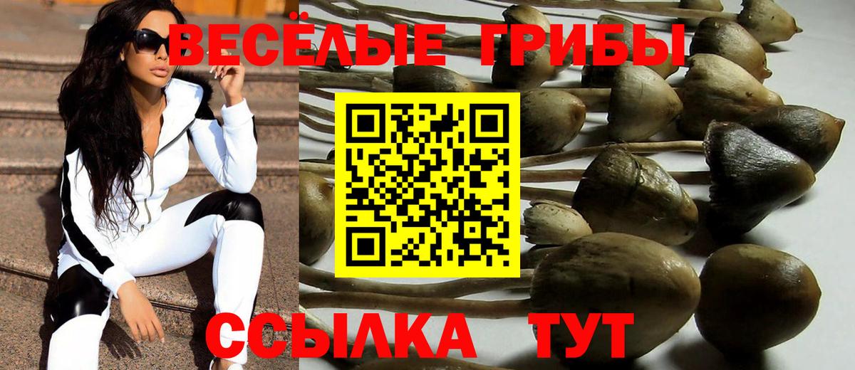 Новосибирск  Псилоцибиновые грибы мицелий  Вход с VPN 